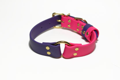Biothane Dog Collar with O-ring - Two Tone or Solid Colours Collar - Waterproof - 1"(25mm) wide