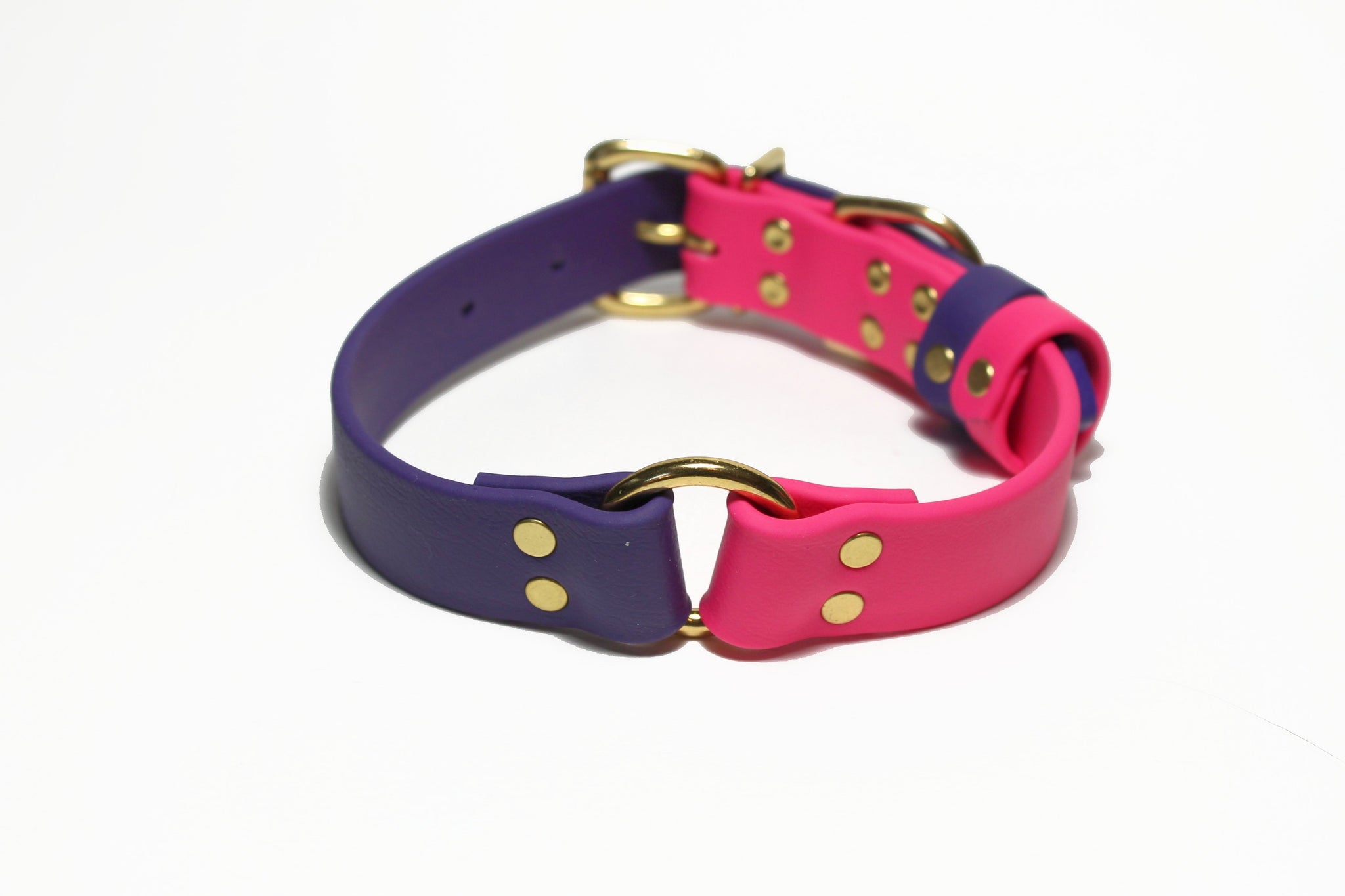 Biothane Dog Collar with O-ring - Two Tone or Solid Colours Collar - Waterproof - 1"(25mm) wide
