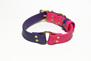 Biothane Dog Collar with O-ring - Two Tone or Solid Colours Collar - Waterproof - 1"(25mm) wide