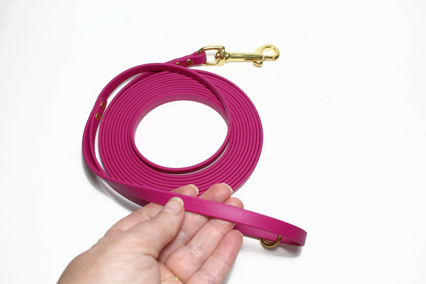 Lighter Weight Waterproof Tracking Recall Long Line - leash for smaller dog or cats - 3/8" (9mm) Biothane