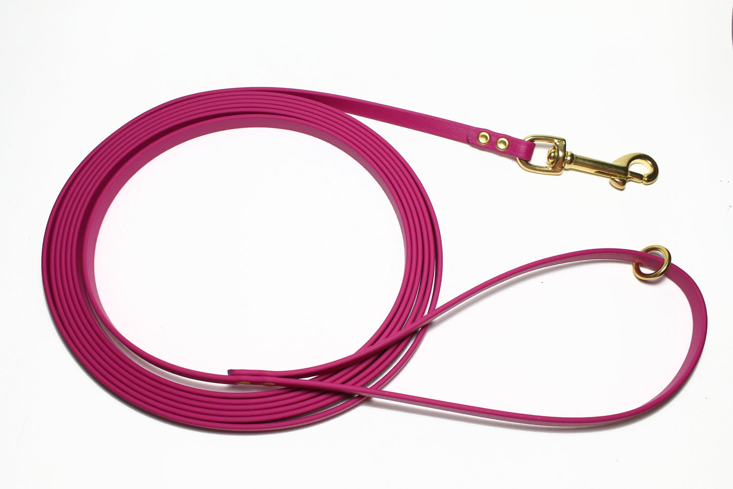 Lighter Weight Waterproof Tracking Recall Long Line - leash for smaller dog or cats - 3/8" (9mm) Biothane