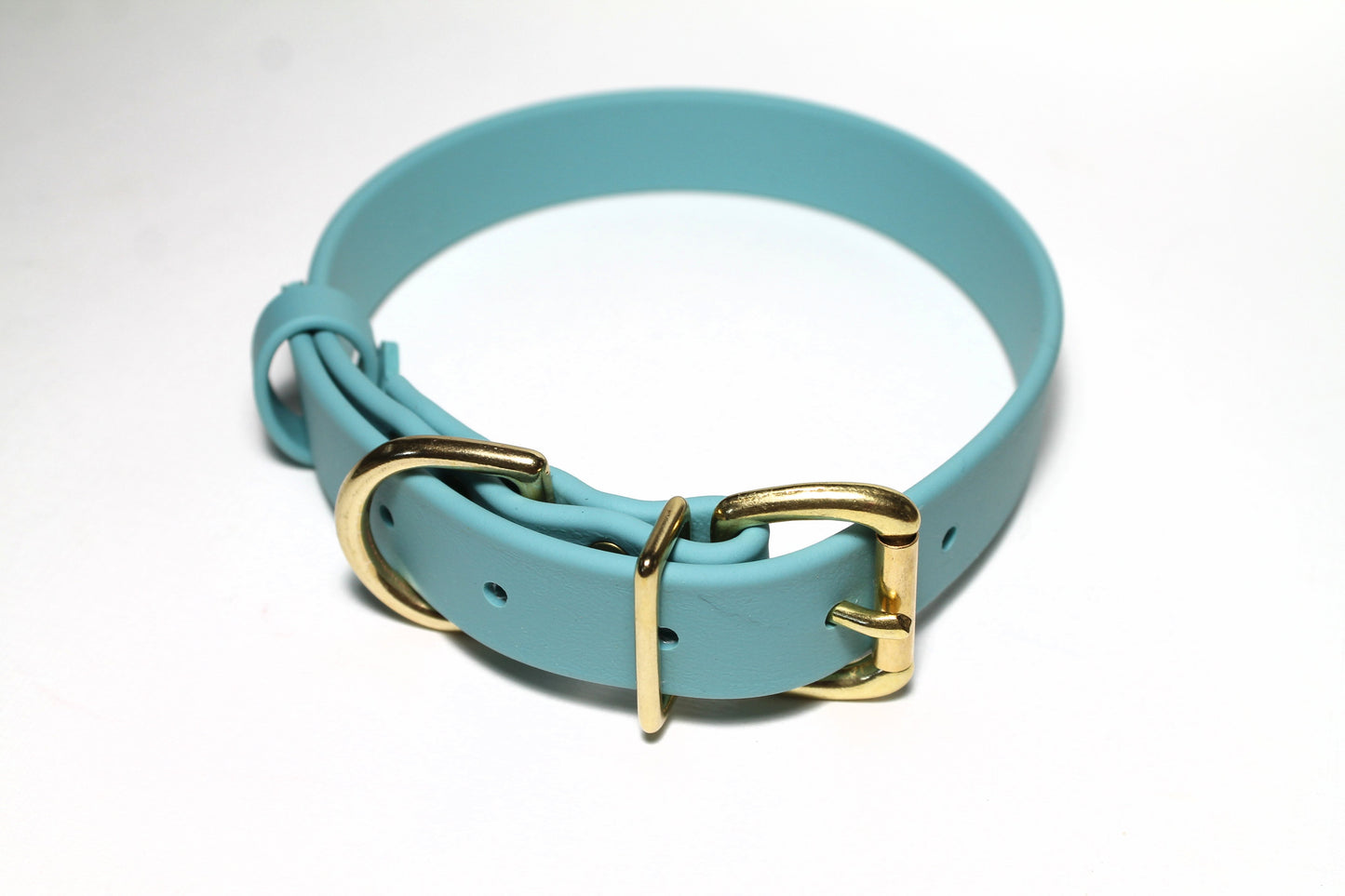 Dusty Turquoise Biothane Dog Collar - 1 inch (25mm) wide