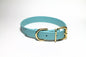 Dusty Turquoise Biothane Dog Collar - 1 inch (25mm) wide