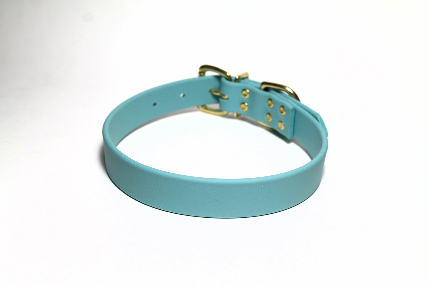 Dusty Turquoise Biothane Dog Collar - 1 inch (25mm) wide