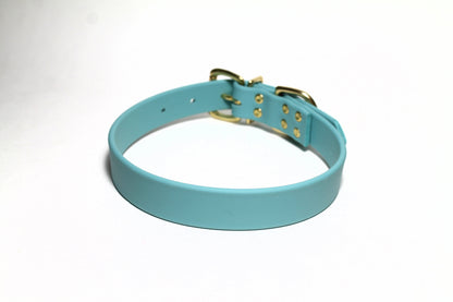 Dusty Turquoise Biothane Dog Collar - 1 inch (25mm) wide