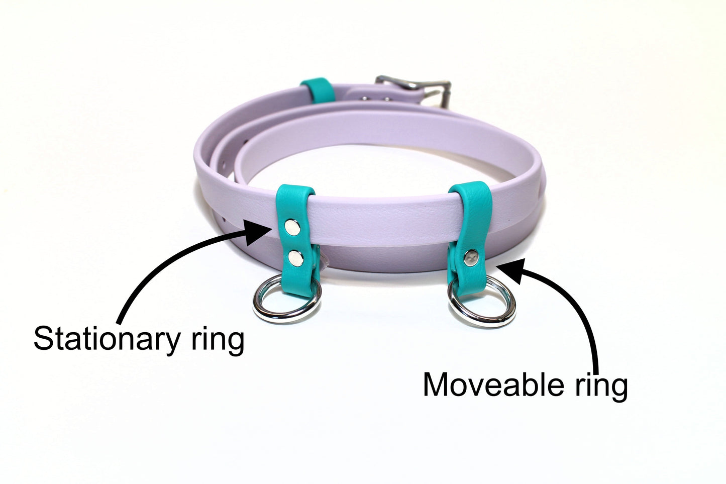 Custom Belt and Leash for hands free walking - Waterproof - utility belt with leash combo