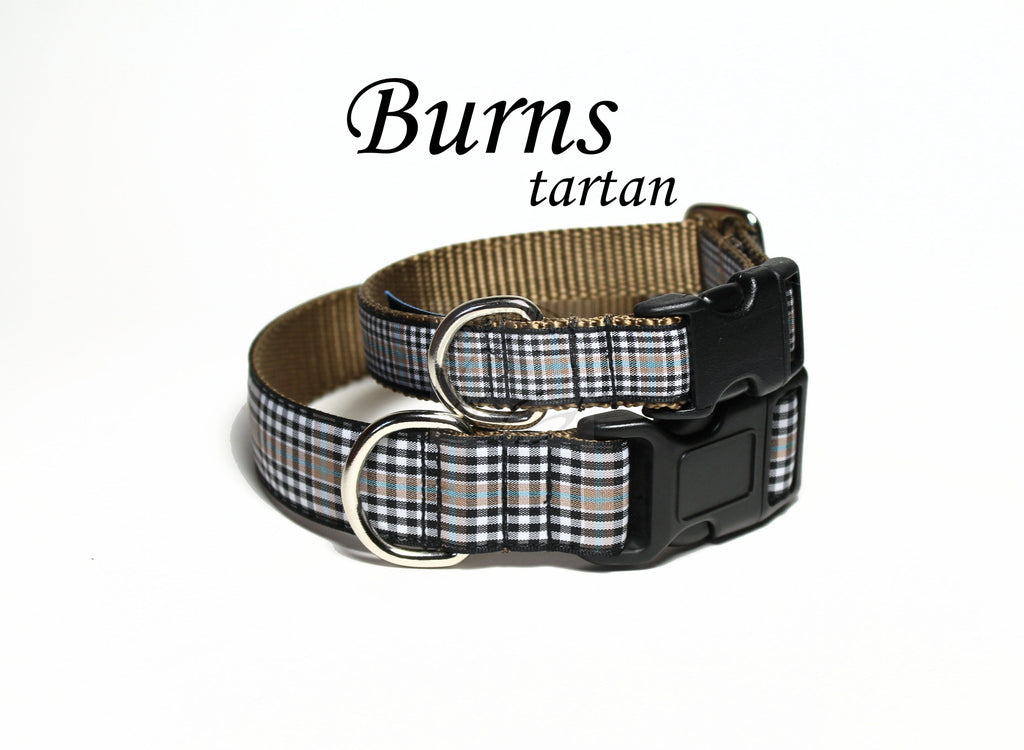 Burns Clan tartan - dog collar