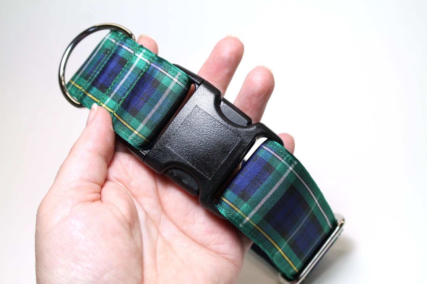 Campbell clan tartan - dog collar