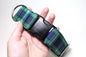 Campbell clan tartan - dog collar