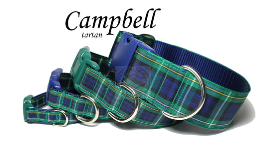 Campbell clan tartan - dog collar