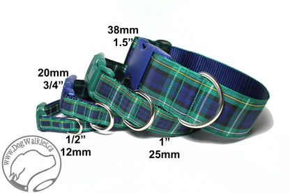 Campbell clan tartan - dog collar