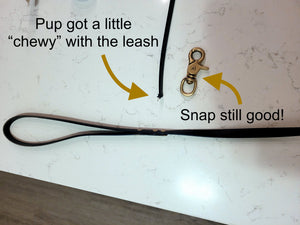 Biothane Leash Repair - Please Read Description First!