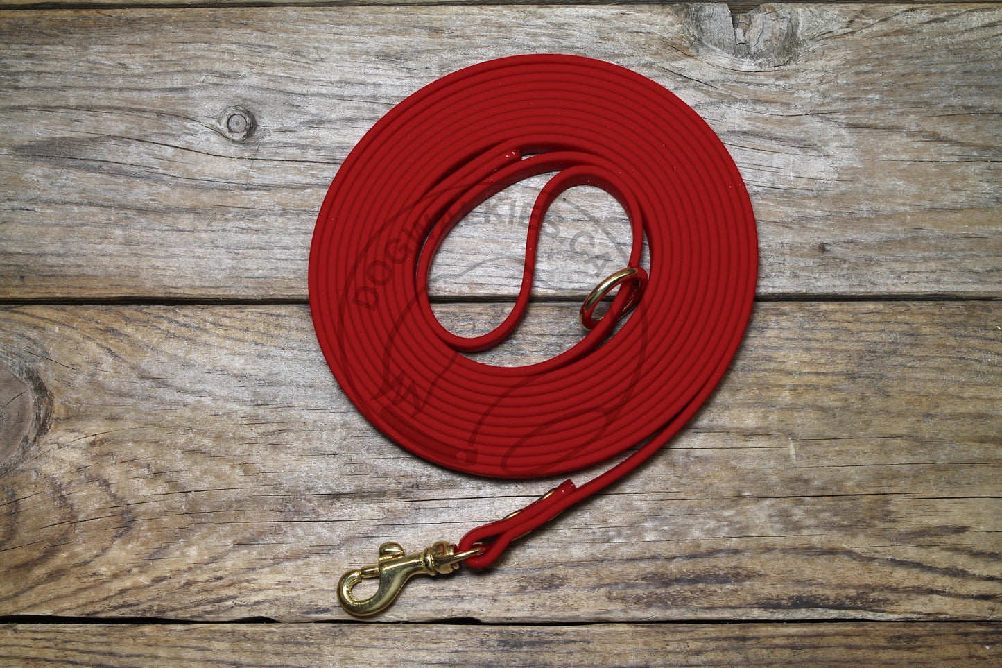 Lighter Weight Waterproof Tracking Recall Long Line - leash for smaller dog or cats - 3/8" (9mm) Biothane