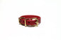 Red faux leather dog collar with gold hardware on a white background