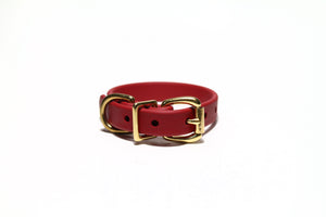 Red faux leather dog collar with gold hardware on a white background