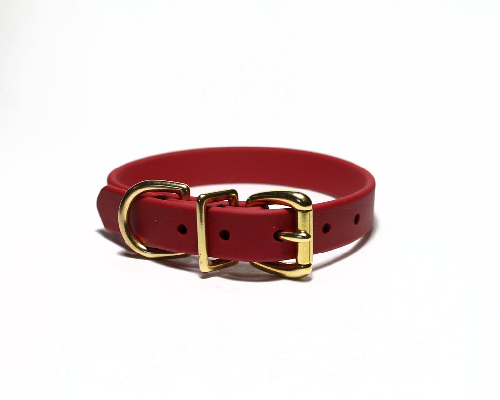 Red dog collar with a gold buckle on a white background