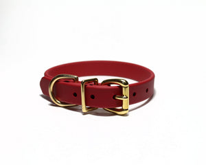 Red dog collar with a gold buckle on a white background