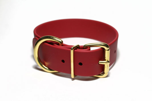 Wide dark red dog collar with a gold buckle on a white background
