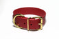 Wide dark red dog collar with a gold buckle on a white background
