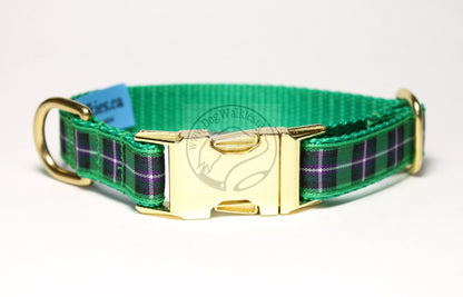 Hibernian FC Hibs tartan - dog collar