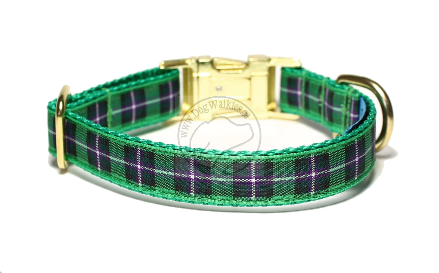 Hibernian FC Hibs tartan - dog collar
