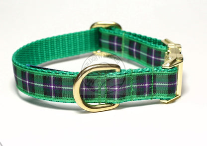 Hibernian FC Hibs tartan - dog collar
