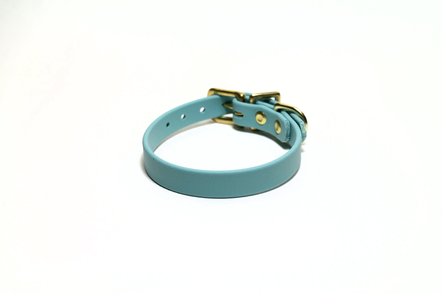 Dusty Turquoise Biothane Small Dog Collar - 1/2" (12mm) wide