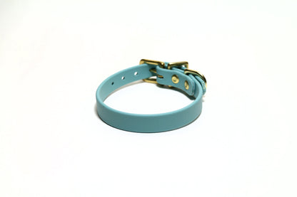 Dusty Turquoise Biothane Small Dog Collar - 1/2" (12mm) wide