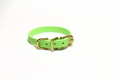 Lime Green Biothane Small Dog Collar - 1/2" (12mm) wide