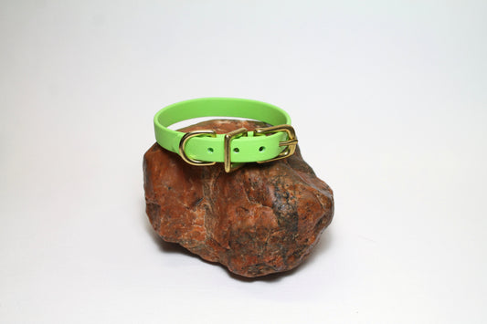 Lime Green Biothane Small Dog Collar - 1/2" (12mm) wide