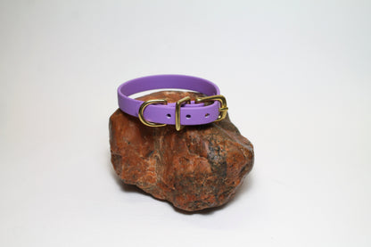 Amethyst Biothane Small Dog Collar - 1/2" (12mm) wide