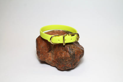 Neon Yellow Biothane Small Dog Collar - 1/2" (12mm) wide