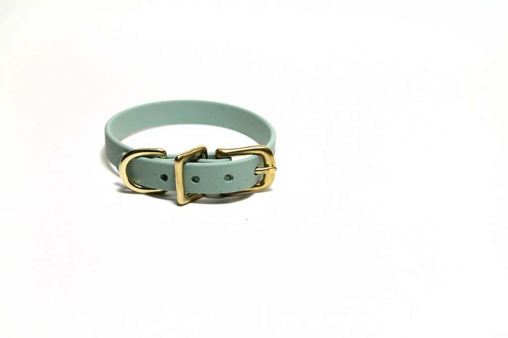 Sage Green Biothane Small Dog Collar - 1/2" (12mm) wide