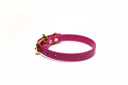 Raspberry Pink Biothane Small Dog Collar - 1/2" (12mm) wide