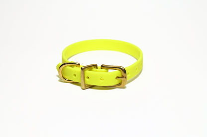 Neon Yellow Biothane Small Dog Collar - 1/2" (12mm) wide