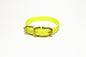 Neon Yellow Biothane Small Dog Collar - 1/2" (12mm) wide