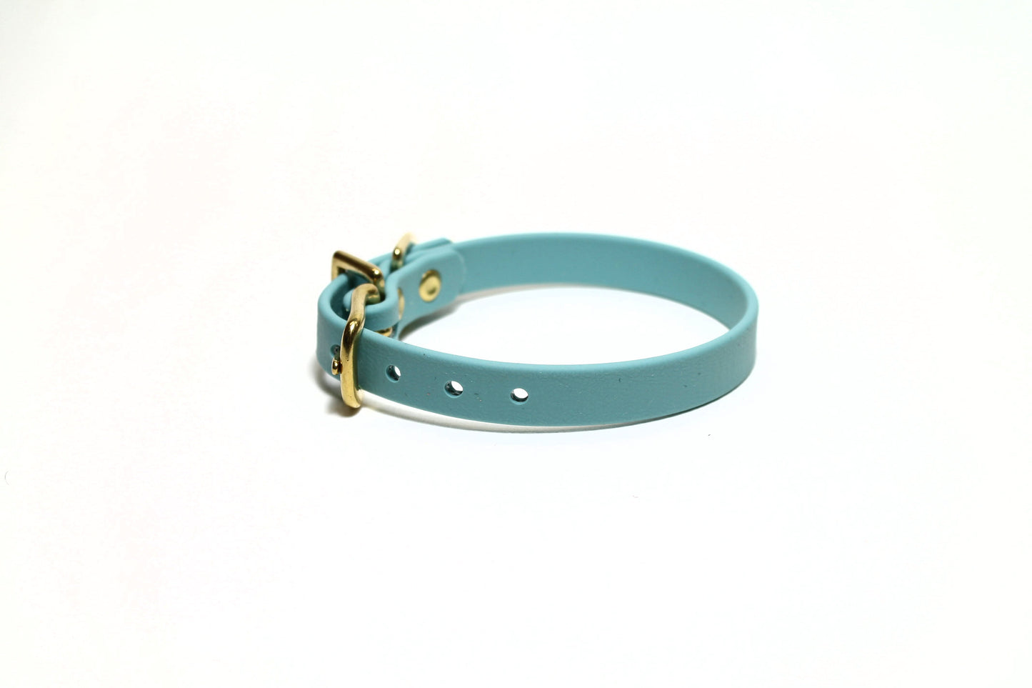 Dusty Turquoise Biothane Small Dog Collar - 1/2" (12mm) wide