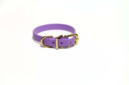 Amethyst Biothane Small Dog Collar - 1/2" (12mm) wide
