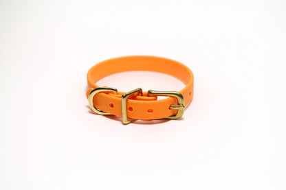 Bright Pumpkin Orange Biothane Small Dog Collar - 1/2" (12mm) wide