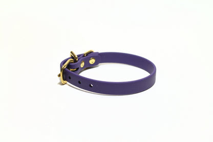 Royal Purple Biothane Small Dog Collar - 1/2" (12mm) wide
