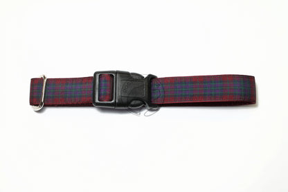 Pride of Scotland Autumn tartan - dog collar