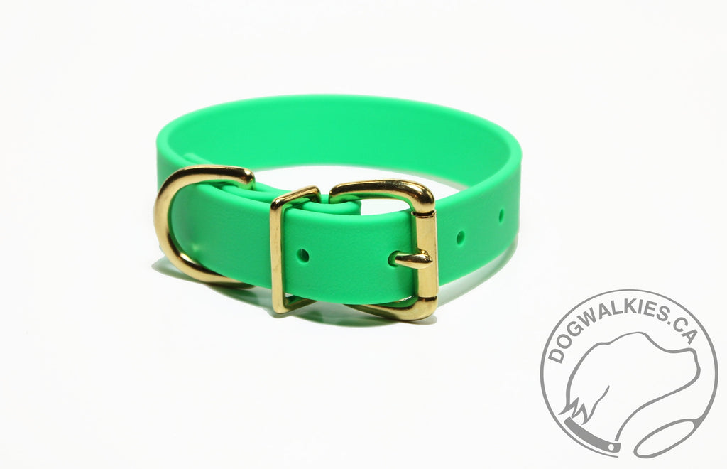 A dog collar on a simple white background. The collar is a bright neon green colour, leather embossed plastic with gold tone brass buckle and loops. 