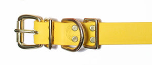 Sunflower Yellow Biothane Dog Collar - 1 inch (25mm) wide