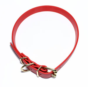 Poppy Red Biothane Dog Collar - 1 inch (25mm) wide