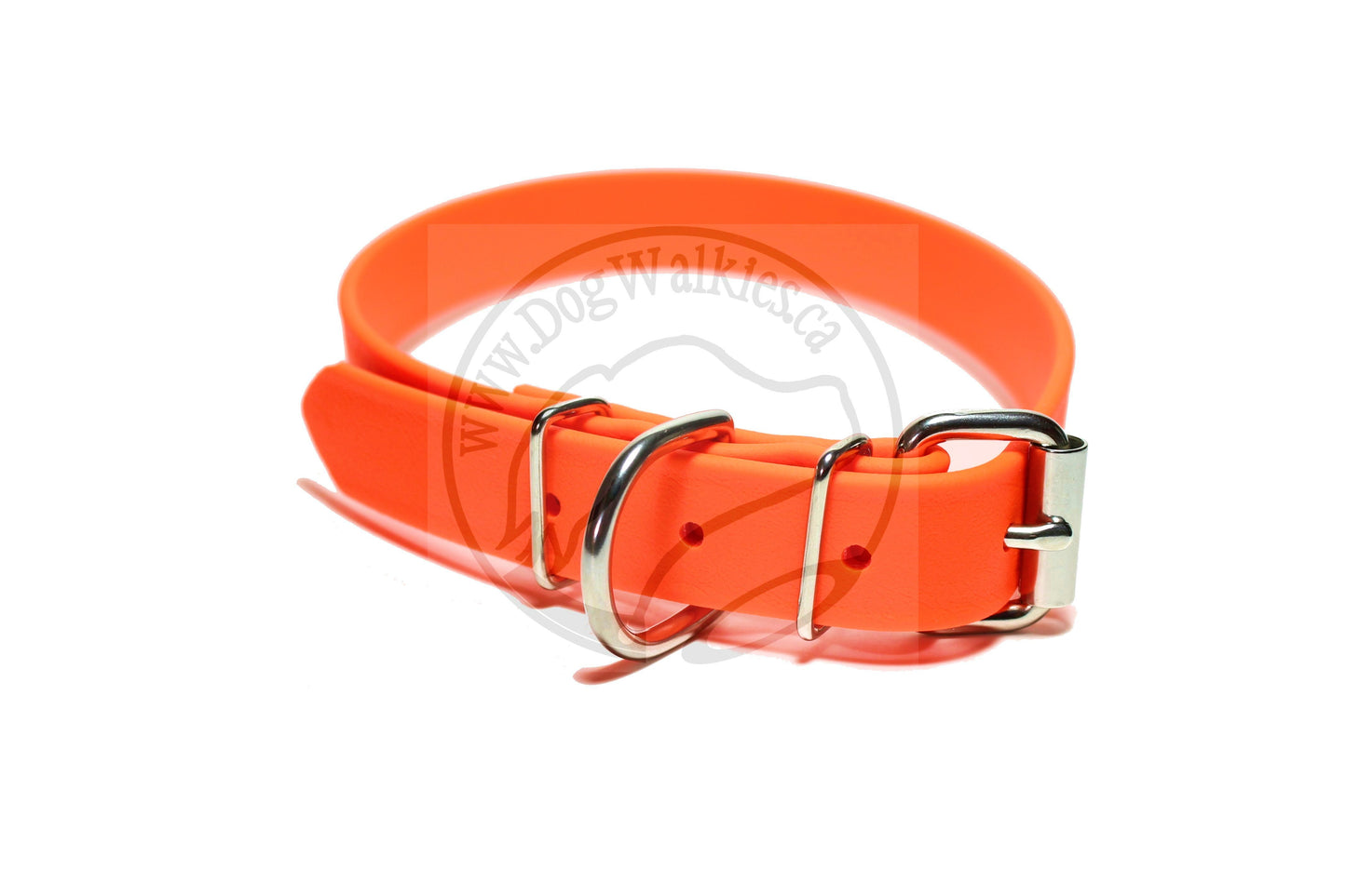 Large Dog Collar in Genuine Biothane - 25mm (1") width - 39 colours