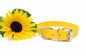 Large Dog Collar in Genuine Biothane - 25mm (1") width - 39 colours