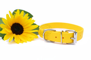 Sunflower Yellow Biothane Dog Collar - 1 inch (25mm) wide