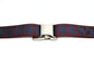 Pride of Scotland Autumn tartan - dog collar