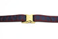 Pride of Scotland Autumn tartan - dog collar