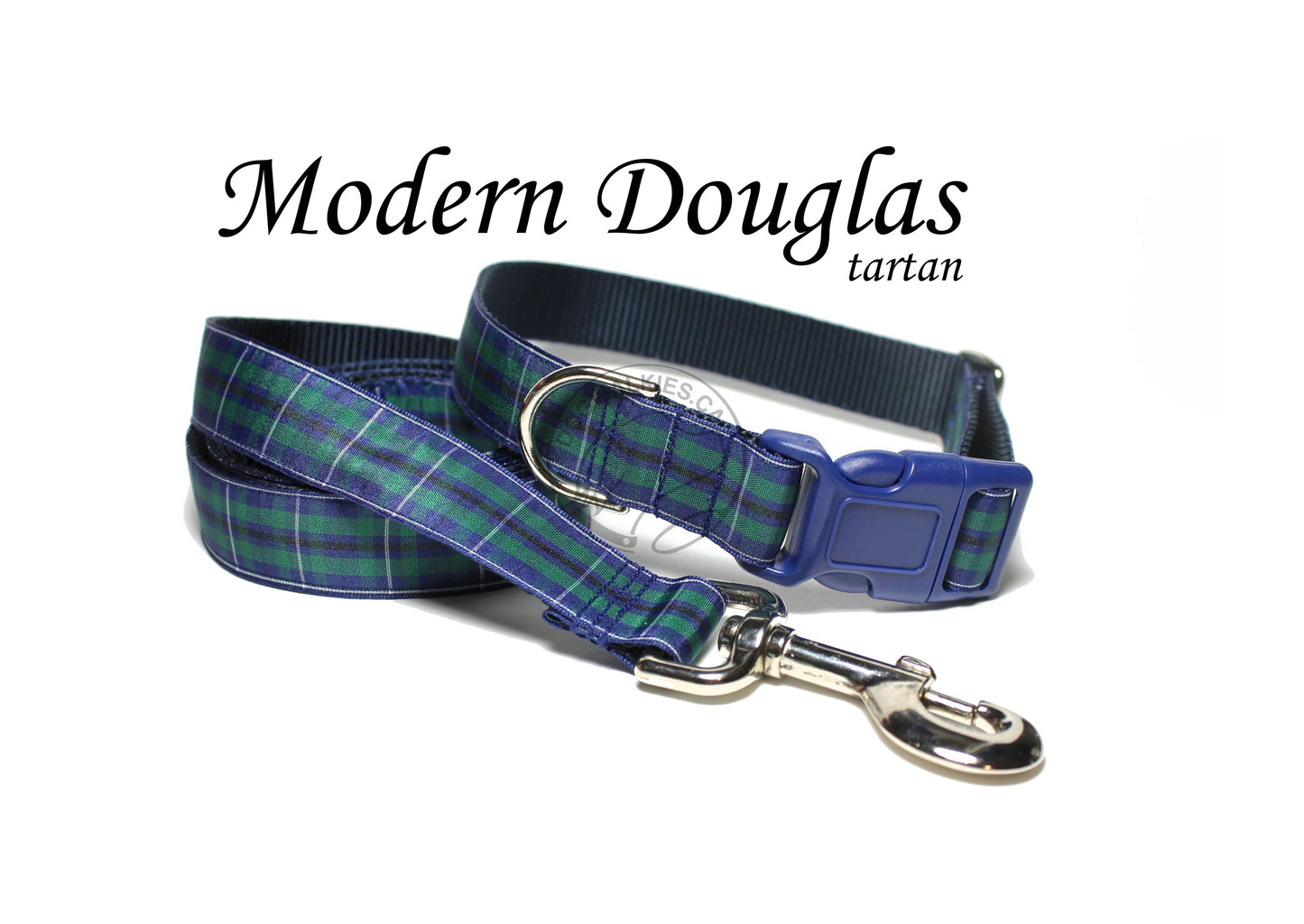 Douglas Modern Clan tartan - dog collar